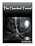 The Haunted Tunnel (Wayfare Chronicles: The Matt Moore Series Book 2)