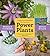 Power Plants: Simple Home Remedies You Can Grow