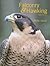 Falconry & Hawking