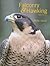 Falconry & Hawking by Phillip Glasier