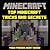 Minecraft: Top Minecraft Tricks and Secrets Your Friends Won't Know!
