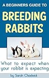 A Complete Guide to Breeding Meat Rabbits: What to expect when your rabbit is expecting