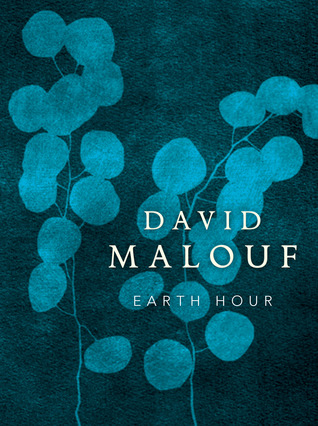 Earth Hour (Paperback)
