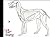 The Canine Acupressure Workbook A Learning Tool for Enthusiasts and Professionals