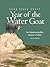 Long Story Short: Year of the Water Goat