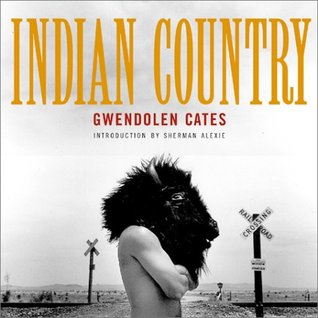 Indian Country (Hardcover)