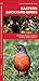 Eastern Backyard Birds: A Folding Pocket Guide to Familiar Urban Species (Nature Observation North America)