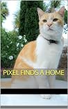 Pixel Finds A Home