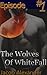 Episode 1: The Wolves Of WhiteFall