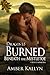 Burned Beneath The Mistletoe (Dragos, #1.5)