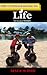 The Ultimate Guide to LIFE: The Greatest MMORPG