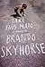 Take This Man. A Memoir by Brando Skyhorse