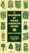 A Handbook of Native American Herbs by Alma R. Hutchens