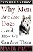 Why Men Are Like Dogs ... And How We Can Love Them