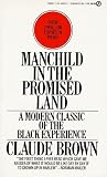 Manchild in the P...