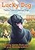 Lucky Dog: Twelve Tales of ...