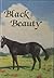 Black Beauty (Illustrated Junior Library)