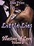 Little Lies Volume 2 (Illusions of Love, # 2)