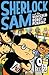 Sherlock Sam and the Vanished Robot in Penang (Sherlock Sam #5)