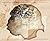 The Neanderthal Correlation by Jeff Hecht