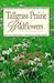 Tallgrass Prairie Wildflowe...
