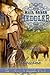 Mail Order Meddler (Brides of Beckham, #10)
