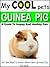 My Cool Pets: Guinea Pig - All You Need To Know About Guinea Pigs