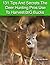 131 Tips And Secrets The Deer Hunting Pros Use To Harvest Big... by Ryan Betts