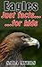 Eagles : Just Facts For Kids