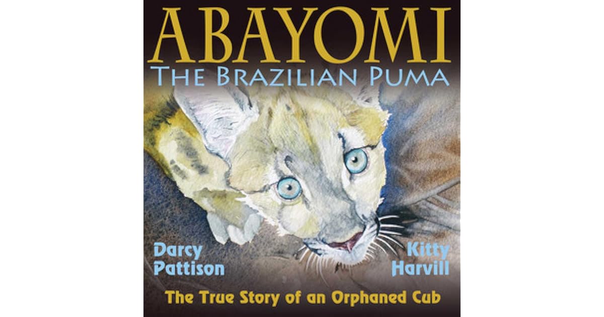 brazilian puma