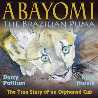 brazilian puma