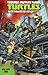 Teenage Mutant Ninja Turtles: New Animated Adventures, Volume 1