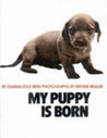 My Puppy Is Born: 1st Edition