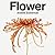 Flower by Andrew Zuckerman