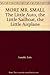 MORE MR. SMALL The Little Auto, the Little Sailboat, the Little Airplane