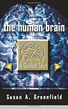 The Human Brain by Susan A. Greenfield