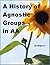 A History of Agnostic Group...