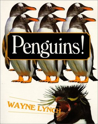 Penguins! (Paperback)
