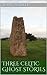 Three Celtic Ghost Stories: Modern ghost stories (Original Ghost Stories Book 1)