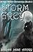 Storm Grey by Sarah Jane Avory