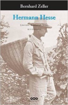 Hermann Hesse (Paperback)