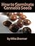 How to Germinate Cannabis Seeds: Never Waste A Seed Again