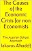 The Causes of the Economic Crisis for non Economists: The Austrian School Approach