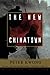 The New Chinatown by Peter Kwong
