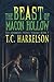 The Beast of Macon Hollow (The Guardian Stones Trilogy Book 1)