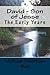 David - Son of Jesse (The early years Book 1)