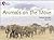 Animals on the Move: Band 12/Copper (Collins Big Cat)