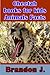 Cheetah books for kids : Animals Facts (Include amazing picture bonus)