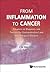 From Inflammation to Cancer...