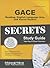 GACE Special Education: Reading, English Language Arts, and Social Studies Secrets Study Guide: GACE Test Review for the Georgia Assessments for the Certification of Educators (Secrets (Mometrix))